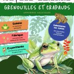 L'Académie des Ouistitis observe grenouilles et crapauds