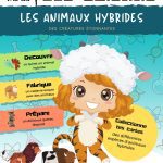 L'Académie des Ouistitis à la découverte des animaux hybrides